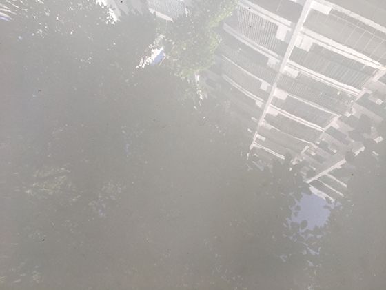 智能洗发水的发展趋势：传感器技术如何个性化调节清洁