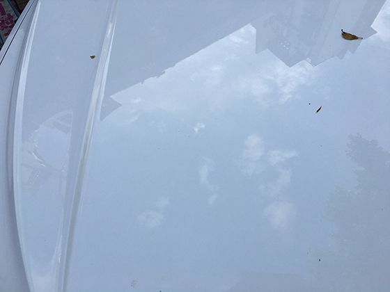 我国藏南地区指的是哪里