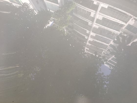 口腔溃疡是怎么引起的？如何预防？