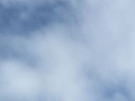 漫步街角偶遇栀子花，洁白花瓣藏着哪些与生活相关的小秘密等你来发现