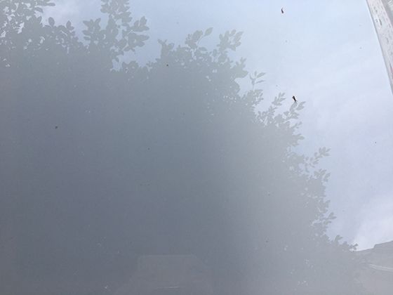 矿泉水瓶为什么多为蓝色或绿色？包装设计中的光学与心理考量