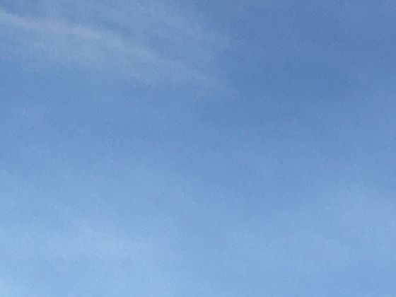 黑暗中的发光舞者：解析萤火虫发光原理与生物荧光现象