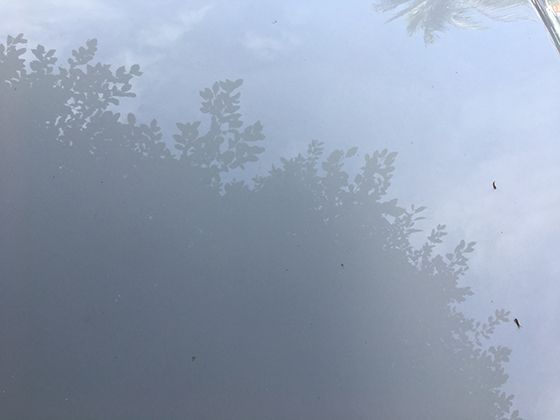 智能烘干机的创新功能：湿度感应与自动停机技术的原理揭秘