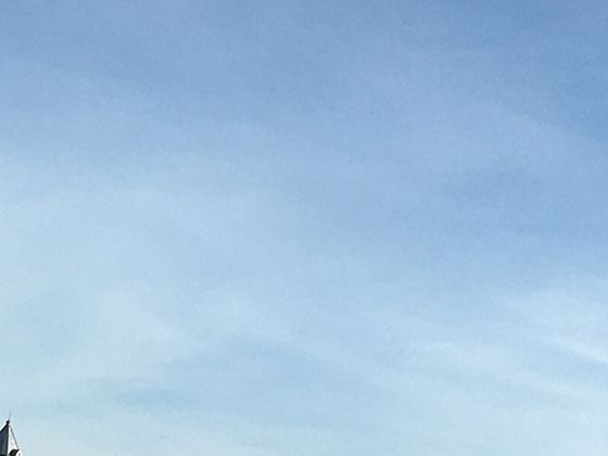 从石榴花到石榴果，植物生长周期中的每个阶段都有知识等待发现