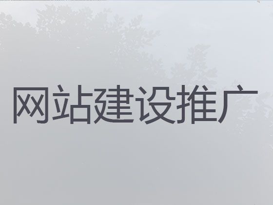 巴彦淖尔市网站开发正规公司%短视频营销推广，企业解决方案